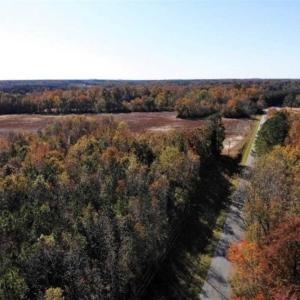 Photo of SOLD!!  25 Acres of Farm and Timber Land For Sale in Halifax County NC!