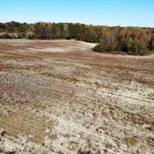 Photo of SOLD!!  25 Acres of Farm and Timber Land For Sale in Halifax County NC!