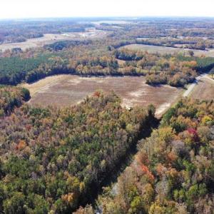 Photo of SOLD!!  25 Acres of Farm and Timber Land For Sale in Halifax County NC!