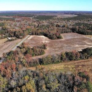 Photo of SOLD!!  25 Acres of Farm and Timber Land For Sale in Halifax County NC!