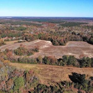 Photo of SOLD!!  25 Acres of Farm and Timber Land For Sale in Halifax County NC!