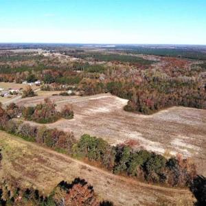 Photo of SOLD!!  25 Acres of Farm and Timber Land For Sale in Halifax County NC!