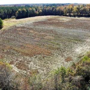Photo of SOLD!!  25 Acres of Farm and Timber Land For Sale in Halifax County NC!