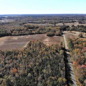 Photo of SOLD!!  25 Acres of Farm and Timber Land For Sale in Halifax County NC!