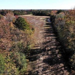 Photo of SOLD!!  25 Acres of Farm and Timber Land For Sale in Halifax County NC!