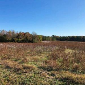 Photo of SOLD!!  25 Acres of Farm and Timber Land For Sale in Halifax County NC!
