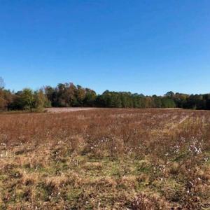 Photo of SOLD!!  25 Acres of Farm and Timber Land For Sale in Halifax County NC!