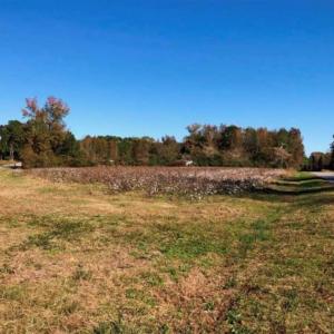 Photo of SOLD!!  25 Acres of Farm and Timber Land For Sale in Halifax County NC!