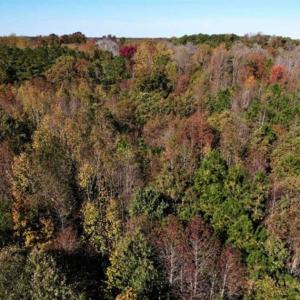 Photo of SOLD!!  25 Acres of Farm and Timber Land For Sale in Halifax County NC!