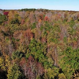 Photo of SOLD!!  25 Acres of Farm and Timber Land For Sale in Halifax County NC!