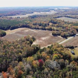 Photo of SOLD!!  25 Acres of Farm and Timber Land For Sale in Halifax County NC!