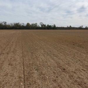 Photo of SOLD!!  13.12 Acres of Farm Land For Sale in Craven County NC!