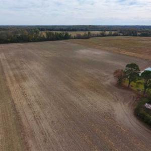 Photo of SOLD!!  13.12 Acres of Farm Land For Sale in Craven County NC!