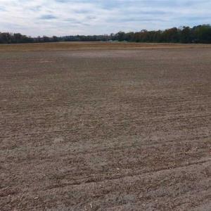 Photo of SOLD!!  13.12 Acres of Farm Land For Sale in Craven County NC!