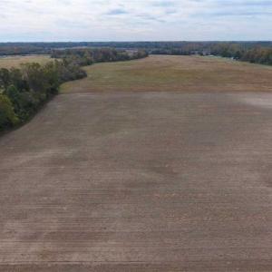 Photo of SOLD!!  13.12 Acres of Farm Land For Sale in Craven County NC!