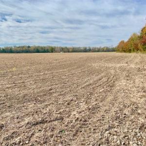 Photo of UNDER CONTRACT!!  90.1 Acres of Farm and Timber Land For Sale in Craven County NC!