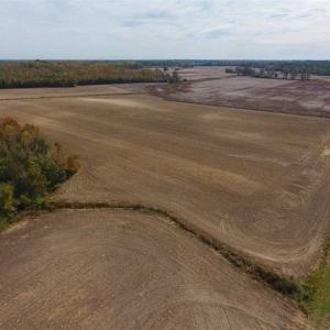 Photo of UNDER CONTRACT!!  90.1 Acres of Farm and Timber Land For Sale in Craven County NC!
