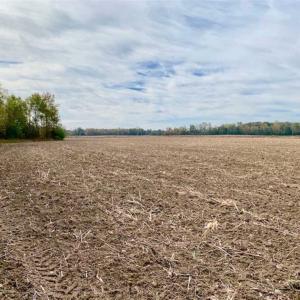 Photo of UNDER CONTRACT!!  90.1 Acres of Farm and Timber Land For Sale in Craven County NC!