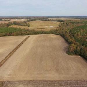Photo of UNDER CONTRACT!!  90.1 Acres of Farm and Timber Land For Sale in Craven County NC!