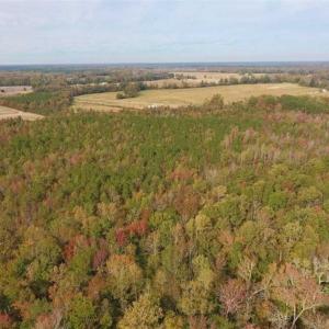 Photo of UNDER CONTRACT!!  90.1 Acres of Farm and Timber Land For Sale in Craven County NC!