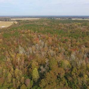Photo of UNDER CONTRACT!!  90.1 Acres of Farm and Timber Land For Sale in Craven County NC!
