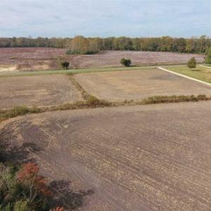 Photo of UNDER CONTRACT!!  90.1 Acres of Farm and Timber Land For Sale in Craven County NC!