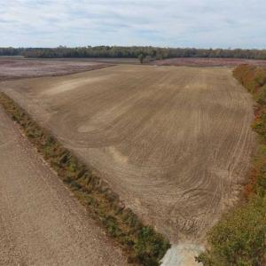 Photo of UNDER CONTRACT!!  90.1 Acres of Farm and Timber Land For Sale in Craven County NC!