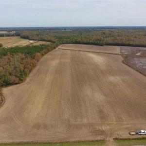 Photo of UNDER CONTRACT!!  90.1 Acres of Farm and Timber Land For Sale in Craven County NC!