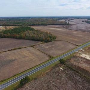 Photo of UNDER CONTRACT!!  90.1 Acres of Farm and Timber Land For Sale in Craven County NC!