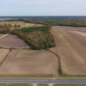 Photo of UNDER CONTRACT!!  90.1 Acres of Farm and Timber Land For Sale in Craven County NC!
