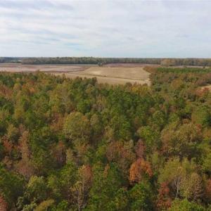 Photo of UNDER CONTRACT!!  90.1 Acres of Farm and Timber Land For Sale in Craven County NC!