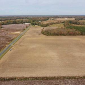 Photo of UNDER CONTRACT!!  90.1 Acres of Farm and Timber Land For Sale in Craven County NC!