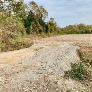 Photo of UNDER CONTRACT!!  90.1 Acres of Farm and Timber Land For Sale in Craven County NC!