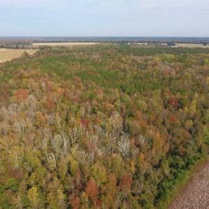 Photo of UNDER CONTRACT!!  90.1 Acres of Farm and Timber Land For Sale in Craven County NC!