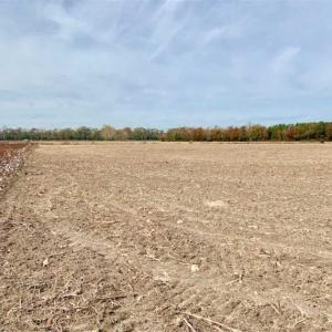Photo of UNDER CONTRACT!!  90.1 Acres of Farm and Timber Land For Sale in Craven County NC!