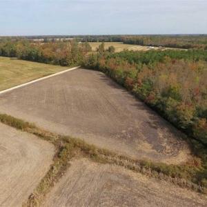 Photo of UNDER CONTRACT!!  90.1 Acres of Farm and Timber Land For Sale in Craven County NC!