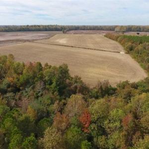 Photo of UNDER CONTRACT!!  90.1 Acres of Farm and Timber Land For Sale in Craven County NC!