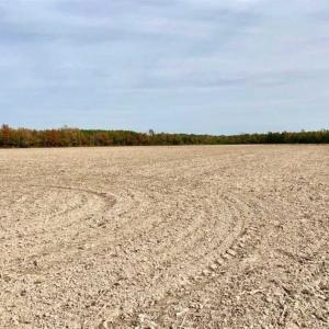 Photo of UNDER CONTRACT!!  90.1 Acres of Farm and Timber Land For Sale in Craven County NC!