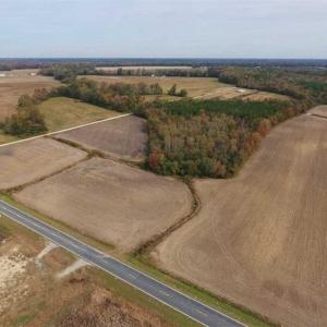 Photo of UNDER CONTRACT!!  90.1 Acres of Farm and Timber Land For Sale in Craven County NC!