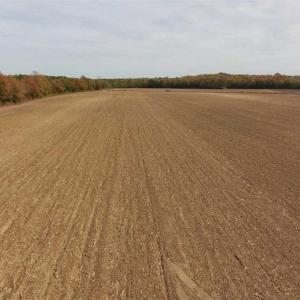 Photo of UNDER CONTRACT!!  90.1 Acres of Farm and Timber Land For Sale in Craven County NC!