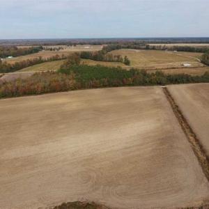 Photo of UNDER CONTRACT!!  90.1 Acres of Farm and Timber Land For Sale in Craven County NC!