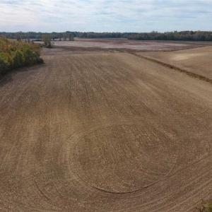 Photo of UNDER CONTRACT!!  90.1 Acres of Farm and Timber Land For Sale in Craven County NC!