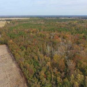Photo of UNDER CONTRACT!!  90.1 Acres of Farm and Timber Land For Sale in Craven County NC!