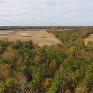 Photo of UNDER CONTRACT!!  90.1 Acres of Farm and Timber Land For Sale in Craven County NC!