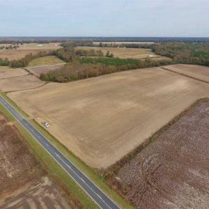 Photo of UNDER CONTRACT!!  90.1 Acres of Farm and Timber Land For Sale in Craven County NC!
