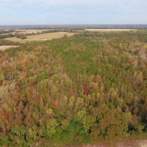 Photo of UNDER CONTRACT!!  90.1 Acres of Farm and Timber Land For Sale in Craven County NC!