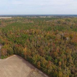 Photo of UNDER CONTRACT!!  90.1 Acres of Farm and Timber Land For Sale in Craven County NC!