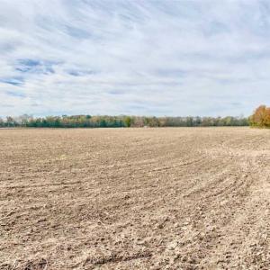 Photo of UNDER CONTRACT!!  90.1 Acres of Farm and Timber Land For Sale in Craven County NC!