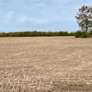 Photo of UNDER CONTRACT!!  90.1 Acres of Farm and Timber Land For Sale in Craven County NC!