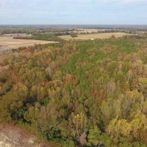 Photo of UNDER CONTRACT!!  90.1 Acres of Farm and Timber Land For Sale in Craven County NC!